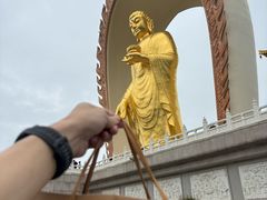 -庐山风景名胜区-东林大佛
