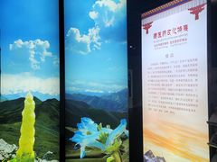 -广东中医药博物馆