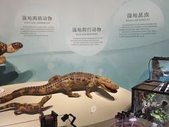 -中国湿地博物馆