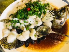 -陶缘一号·四季缘·老字号顺德菜·户外婚礼家宴(西滘店)