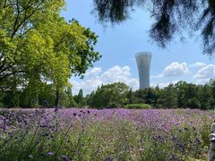 -上海滨江森林公园