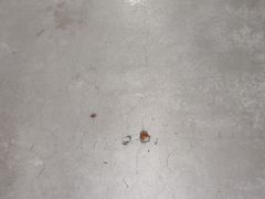 -徐包铺(丰润街店)