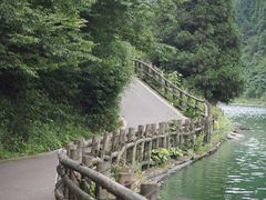 -武陵山森林公园