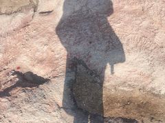 -巨鹏飞梦幻海岸