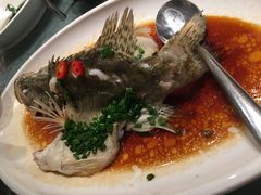 -老伙记海鲜码头(北滘店)
