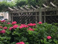 -江南大学附属医院(北院区)