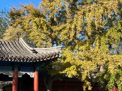 -北京石刻艺术博物馆(五塔寺)