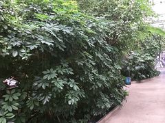 -金稼园·金平湖农家菜