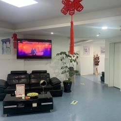 -温州伯思立医院