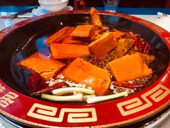 -蜀辣居鲜货老火锅(万象城店)