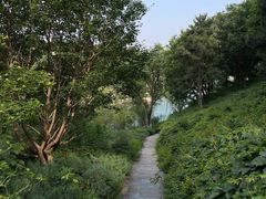 -北宫国家森林公园