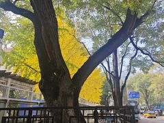 -味多美蛋糕(杨闸环岛店)