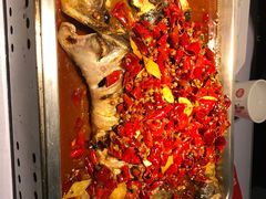 -鱼酷活鱼烤鱼(昆明路店)