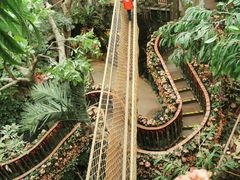 -正佳雨林生态植物园