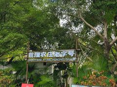 -芭厘农庄老字号·清远鸡