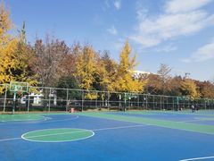 -西南交通大学九里校区-篮球场