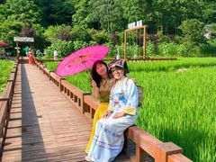 -高荡千年布依古寨旅游景区