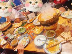 -粉灯牛腩牛杂煲·鸡煲(双井店)