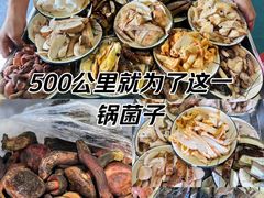 -杨记山珍鸡煲菌汤锅
