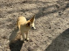 -上海野生动物园