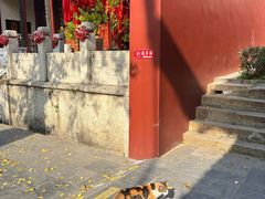 -长春观