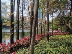 -荔湾湖公园