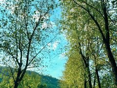 -明月山风景名胜区