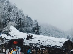 -龙苍沟森林公园