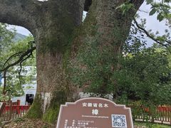 -新安江山水画廊风景区