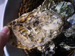 -臻炙大舍烤串(天龙家园店)