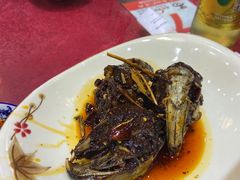 -易老妈蹄花.特色川菜(人民公园总店)