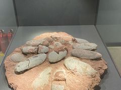 -大连自然博物馆·地球展厅