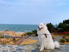 -青岛银沙滩