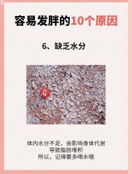 -Fundi张玉珊修身堂·indiba·BTL科技瘦身