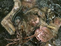 -邹记·美食(斗门店)