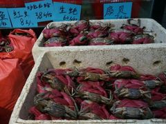 -莲花公园煎蟹(总店)