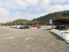-上海佘山国家森林公园东门地面停车场