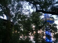 -岳麓山风景名胜区