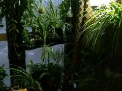 -孙三拨按摩(大纺店)