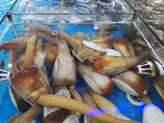 -清水湾3号(东方小周海鲜店)