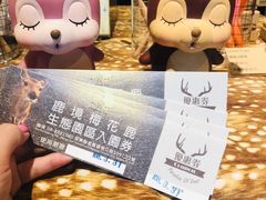 -鹿境梅花鹿生态园区