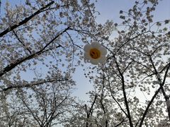 -龙美术馆(西岸馆)