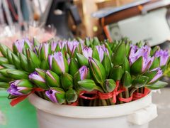 -循礼门鲜花花市(武汉循礼门店)