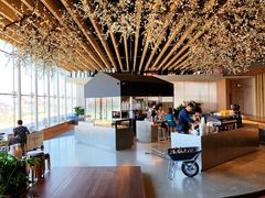 -Seesaw Coffee(朝阳大悦城店)