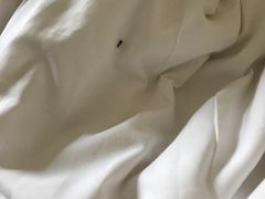 -西安阿房宫维景国际大酒店