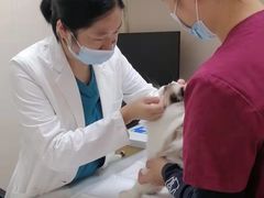 -芭比堂动物医院·24小时·眼科中心(深圳中心)