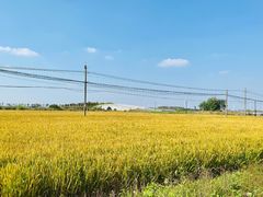 -阳澄湖半岛旅游度假区