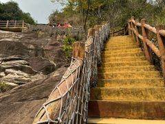 -广州白江湖森林公园