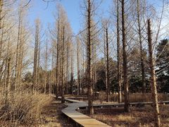 -国家植物园南园