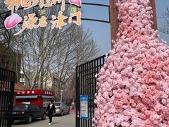-桃花堤公园